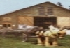 espace des m�tiers du bois