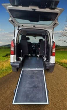 véhicule tpmr occasion