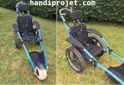 hippocampe pour handicapé